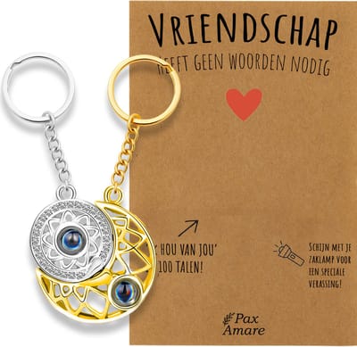BFF Sleutelhanger voor 2 'Vriendschap heeft geen woorden nodig' - Rondjes ILY IN 100 TALEN - Sleutelhanger set op Cadeau Kaartje - Zilverkleurig & Goudkleurig - Vriendschap Symbool - Pax Amare