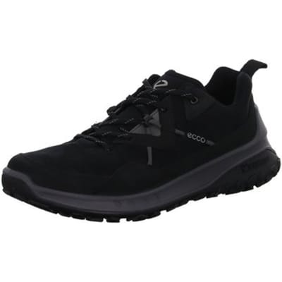 Nette Schoenen Ecco -