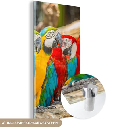 MuchoWow® Glasschilderij 20x40 cm - Schilderij acrylglas - Vogels - Papegaai - Tropisch - Natuur - Foto op glas - Schilderijen