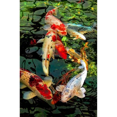 Diamant broderie plein affichage poisson 5d diamant peinture point de croix 20X30CM black
