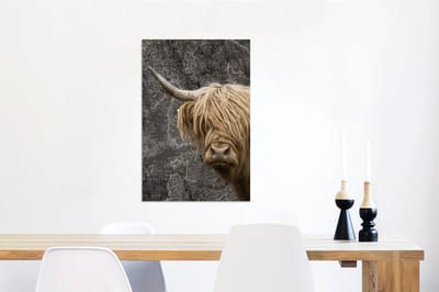 Aluminium schilderij 60x90 cm - Wanddecoratie metaal - Schotse hooglander - Koeien - Wereldkaart - Metalen muurdecoratie woonkamer - Decoratie industrieel - Foto op dibond - Industriële accessoires slaapkamer