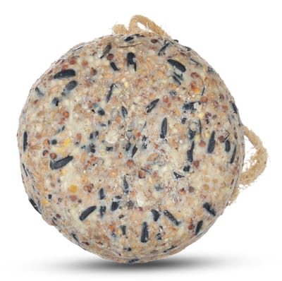 CJ Wildlife - Reuzenvetbol Original 450 g - Zonder netje - Calorierijke Vogelvoer
