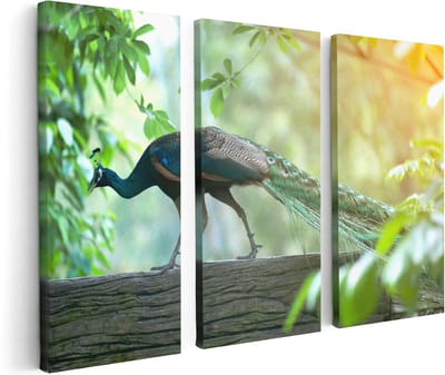 Artaza Canvas Schilderij Drieluik Pauw Loopt Op Een Tak In De Natuur - 120x80 - Foto Op Canvas - Canvas Print