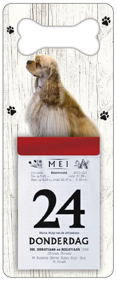 Scheurkalender 2027 Hond: Amerikaanse Cocker Spaniel