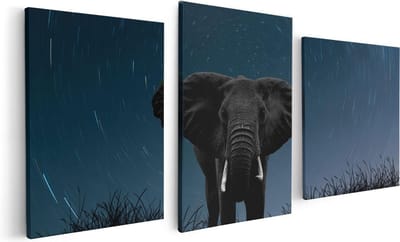 Artaza Canvas Schilderij Drieluik Olifant Omringd Met Sterren  - 120x60 - Foto Op Canvas - Canvas Print