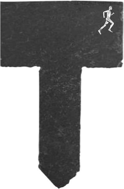 Tuin Plantenbordje - Leisteen Tag - Planten Markeren - Met Tinnen Ontwerp - 6x12cm - Natuursteen