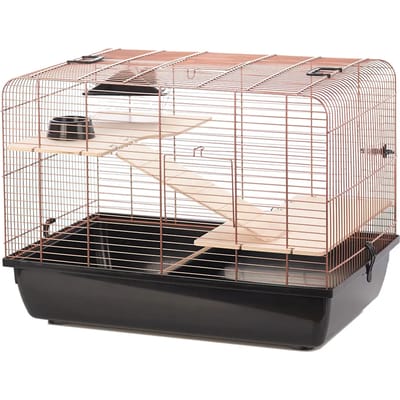 Duvo+ Copper Rex 2 knaagdierkooi zwart/koper met accessoires