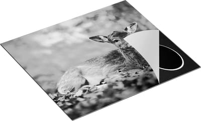 Chefcare Inductie Beschermer Baby Hert tussen de Bladeren in een Herfst Bos - Zwart Wit - 60x50 cm - Afdekplaat Inductie - Kookplaat Beschermer - Inductie Mat