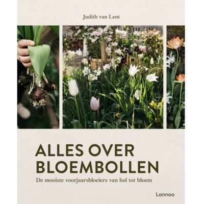Alles Over Bloembollen - Judith van Lent