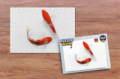 Puzzel Twee oranje koi karpers tegen een witte achtergrond - Legpuzzel - Puzzel 500 stukjes
