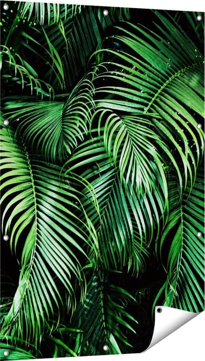 Gards Tuinposter Tropische Palm Bladeren - Groen - 80x120 cm - Tuindoek - Tuindecoratie - Wanddecoratie buiten - Tuinschilderij