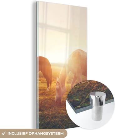 MuchoWow® Glasschilderij 20x40 cm - Schilderij acrylglas - Paarden - Zon - Dieren - Foto op glas - Schilderijen