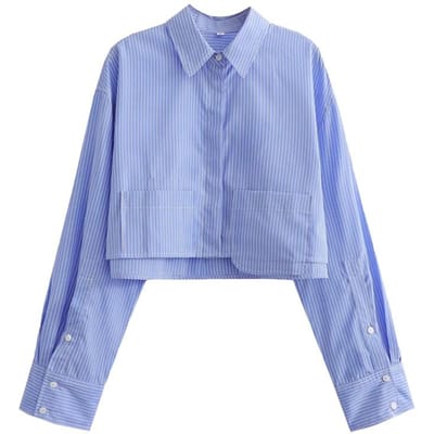 Dames Cropped Shirt Mode Dames Blouse Wit Blauw Gestreept Shirts en Blouses Herfst Lange Mouw Kort Top Dames S blauw