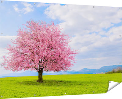 Gards Tuinposter Roze Sakura Bloesem Boom in het Groene Veld - 180x120 cm - Tuindoek - Tuindecoratie - Wanddecoratie buiten - Tuinschilderij
