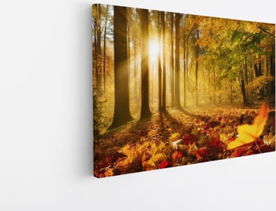 Saammp Canvas Schilderij - Herfstbladeren met zonsopgang - Landschap - Natuur - 45x30 - Foto op canvas - Wanddecoratie - Muurdecoratie Woonkamer - Slaapkamer decoratie - Canvas Print