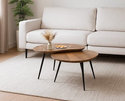 Salontafel Erfurt organisch set van 2 mangohout - Naturel