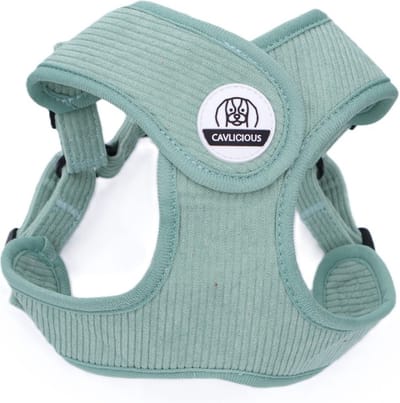 Cavlicious® hondentuigje kleine hond - ergonomisch design - ribfluweel - zeegroen - M