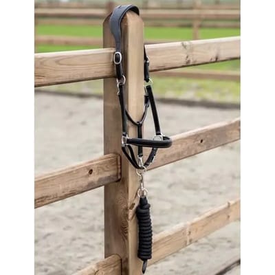 Ps Of Sweden Leather Halster Zwart Cob