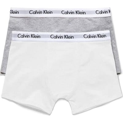 Calvin Klein 2-pack jongensslips 926 wit/grijs maat 45938