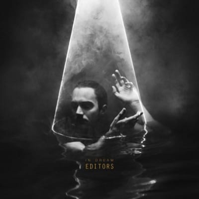 Editors - In Dream (LP)