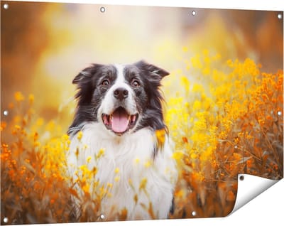 Gards Tuinposter Blije Hond tussen de Bloemen - 120x80 cm - Tuindoek - Tuindecoratie - Wanddecoratie buiten - Tuinschilderij