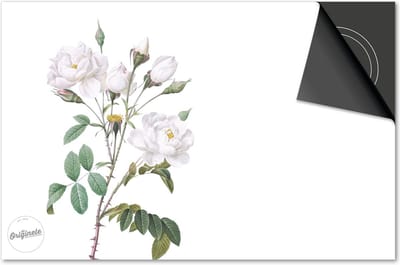 Inductie beschermer 60x60 - afdekplaat inductie mat - Dietrix Kookplaat beschermer - Exclusief - Botanical - Witte Roosjes
