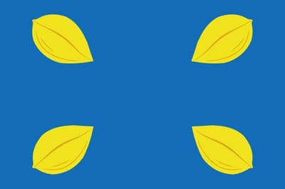 Vlag Hilversum 200x300cm
