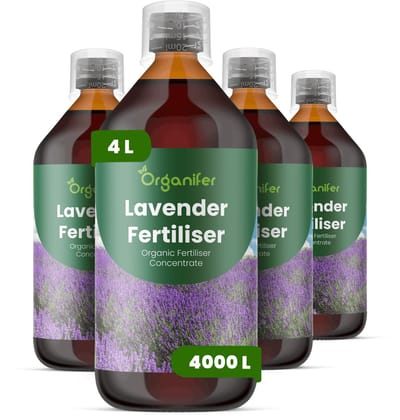 Vloeibare Meststof Voor Lavendel 4X1 L Voor 4000 L - Npk 2-1-8 - Bloeidichtheid - Geurintensiteit - Bloemkwaliteit - Droogtetolerant - Vochtregulatie - Bladkleur - Mediterrane Tuinen - Compacte Groei - Bloemaren - Organifer