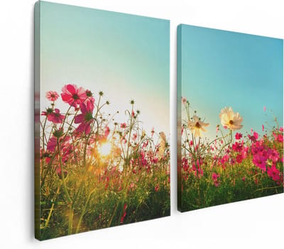 Artaza Canvas Schilderij Tweeluik Kosmos Bloemenveld Met Een Opkomende Zon - 120x80 - Foto Op Canvas - Canvas Print