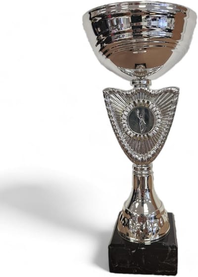 Zilveren Beker Trofee Award 240mm voor Clubs, Scholen en Presentaties