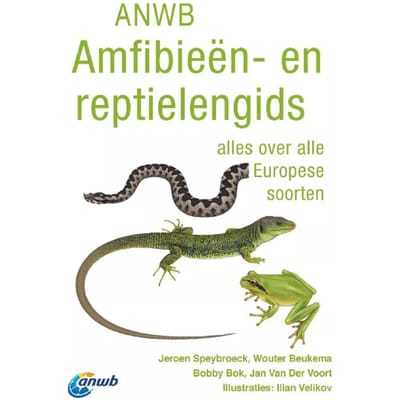 Anwb Amfibieën- En Reptielengids - Anwb Natuurgidsen - Jeroen Speybroeck