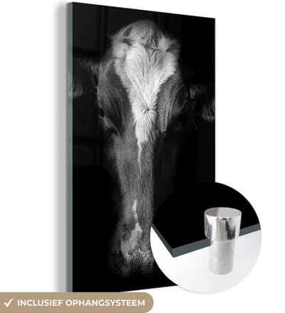 MuchoWow® Glasschilderij 120x180 cm - Schilderij acrylglas - Koe - Dieren - Zwart - Foto op glas - Schilderijen