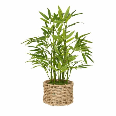 Kunstplant Bamboe – 46 cm Hoog – Onderhoudsvrije Nepplant met Natuurlijke Gevlochten Pot – Decoratieve Kunstplant voor Woonkamer, Balkon, Terras & Kantoor – Groen