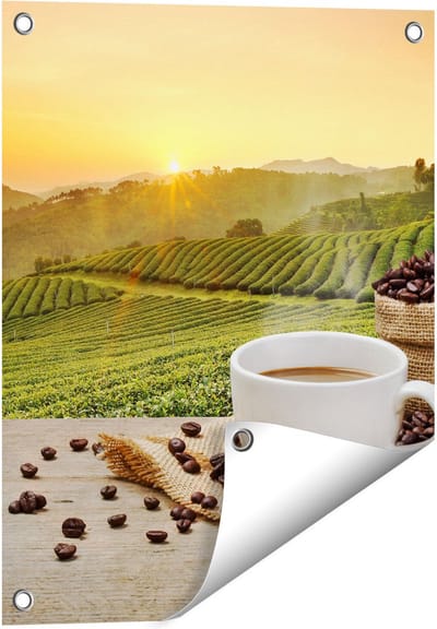 Gards Tuinposter Kopje Koffie op een Plantage Achtergrond6 - 40x50 cm - Tuindoek - Tuindecoratie - Wanddecoratie buiten - Tuinschilderij