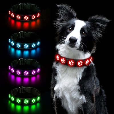 Verlichte Hondenhalsband met LED, Oplaadbaar via USB, Waterdicht en Veilig voor Kleine, Middelgrote en Grote Honden met 3 Verlichtingsmodi