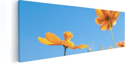 Artaza Canvas Schilderij Cosmea Bloemen - 60x20 cm - Wanddecoratie Bloemen - Schilderijen Op Canvas Woonkamer