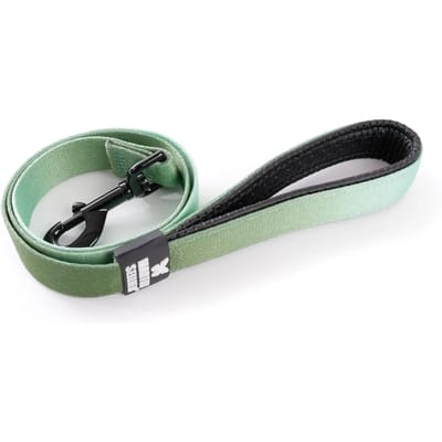 Nylon hondenriem Martin Sellier XS