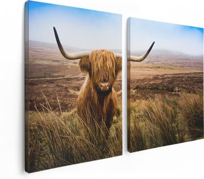 Artaza Canvas Schilderij Tweeluik Schotse Hooglander Koe In Het Veld - 120x80 - Foto Op Canvas - Canvas Print
