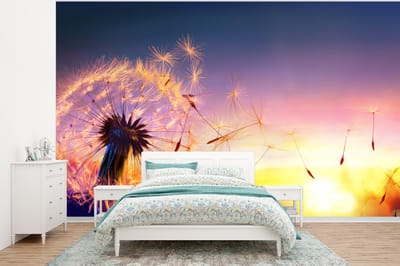 Behang - Fotobehang Paardenbloem - Bloemen - Zonsondergang - Horizon - Nacht - Breedte 400 cm x hoogte 300 cm