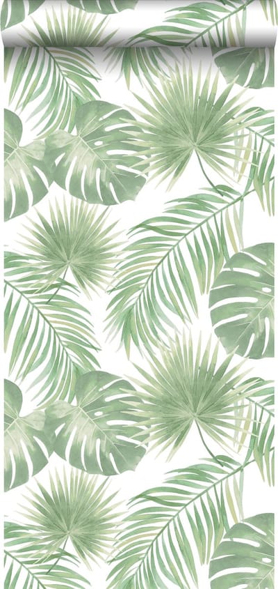 Walls4You behang tropische bladeren lichtgroen - 935310 - 0,53 x 10,05 m