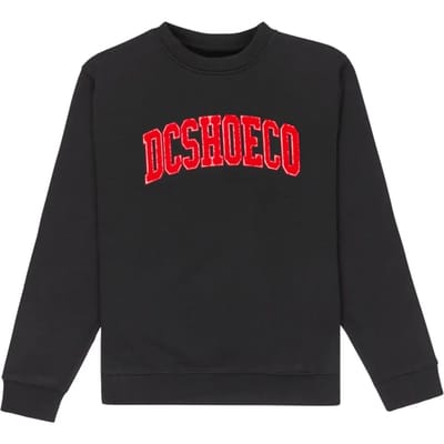 Junior Sweatshirt DC Shoes Varsity