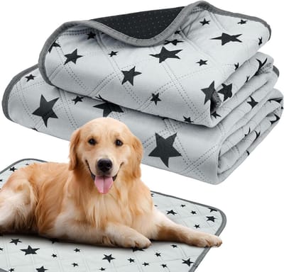 SnelShoppen - 2 stuks puppymatten, wasbaar, herbruikbare puppytrainingsonderlegger, waterdichte en snel absorberende hondentrainingspads 60 x 45 cm en