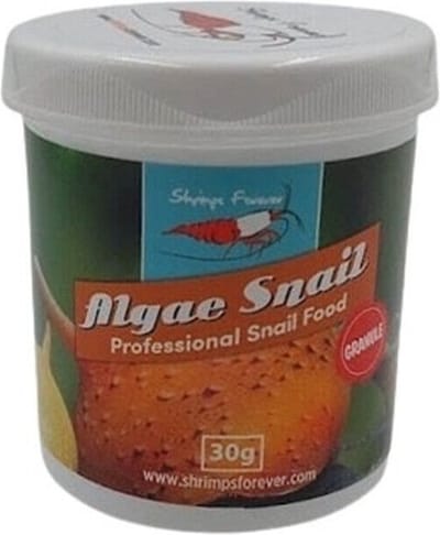 Shrimps Forever Algae Snail (omnivoor) Type: Poeder