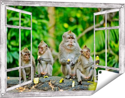 Gards Tuinposter Doorkijk Groep Apen Eten Bananen in het Bos - 90x60 cm - Tuindoek - Tuindecoratie - Wanddecoratie buiten - Tuinschilderij