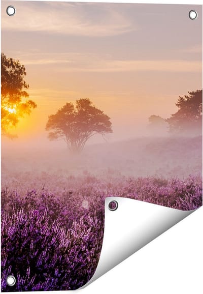 Gards Tuinposter Weide in de Veluwe bij Zonsondergang - 40x50 cm - Tuindoek - Tuindecoratie - Wanddecoratie buiten - Tuinschilderij