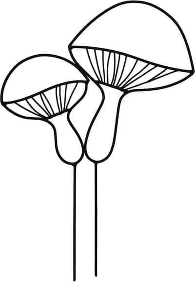 UNUS® Plantensteker paddenstoelen zwart set van 2