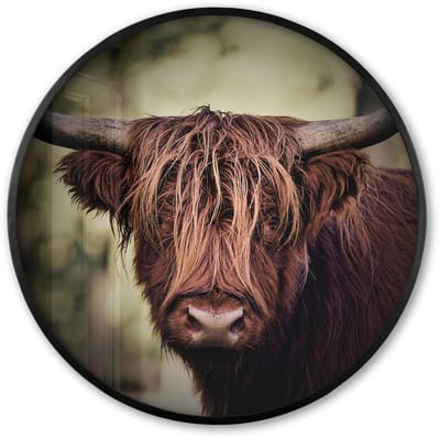 Poster in lijst Rond - Fotolijst 60x60 cm - Posters - Schotse hooglander - Licht - Portret - Natuur - Ronde posterlijst zwart - Decoratie - Wanddecoratie woonkamer - Muurdecoratie slaapkamer