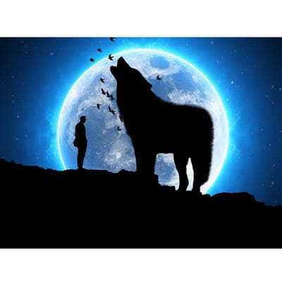 Diamantborduurwerk Wolf Strass Diamantschilderij Dierlijk Wolfspatroon Kralenwerk Behang 20X30CM blue