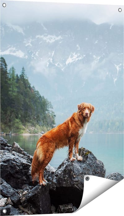 Gards Tuinposter Retriever Hond bij het Water in de Bergen - 60x90 cm - Tuindoek - Tuindecoratie - Wanddecoratie buiten - Tuinschilderij