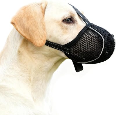 Zachte Netmondkap voor Honden van Alle Groottes, Ademend en Reflecterend, Bescherming Tegen Bijten, Likken en Kauwen